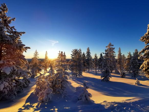 immer wieder bieten sich tolle Schneelandschaften