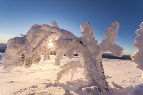 bizarre Schnee- und Eisformen gibt es viele