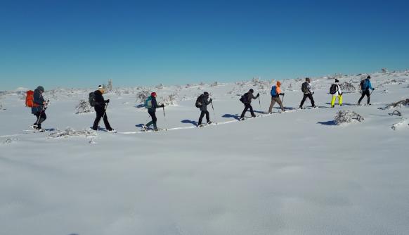 tägliches Aktivprogramm, z.B. eine Schneeschuhtour