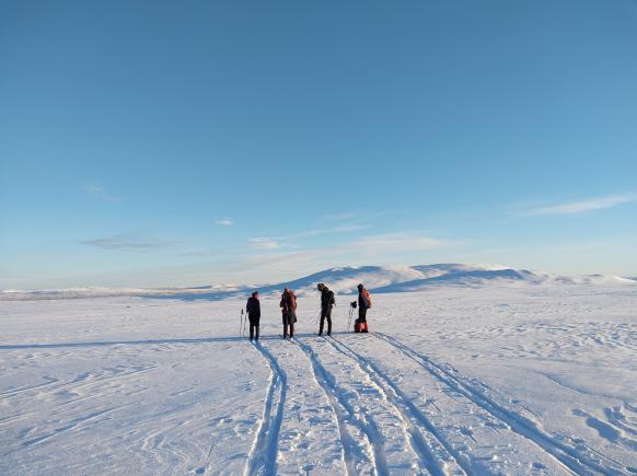 Oder doch lieber eine Back Country Tour?
