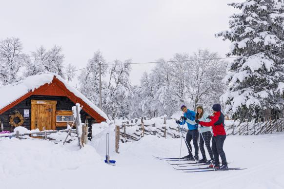 3 Langläufer vor der Einkehr in die Waffelhütte