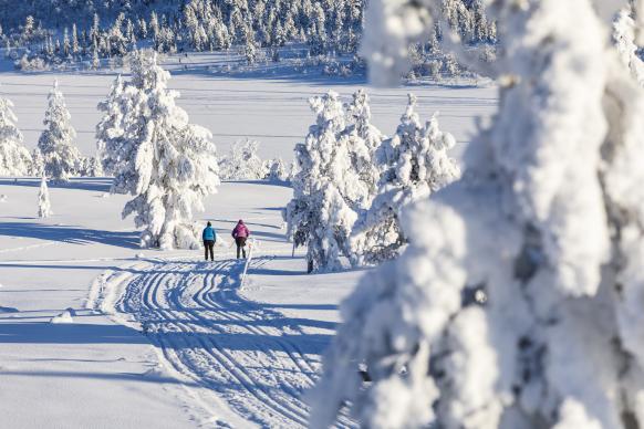 Langläuferinnen auf der Loipe in der schwedischen Winterlandschaft