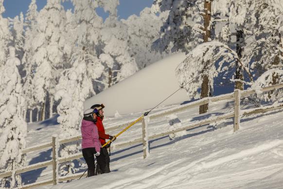 2 Skifahrende im Tellerlift