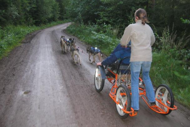 Husky Trainingswochen