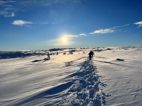 Schneeschuhwanderer im Sonnenschein jenseits der Baumgrenze