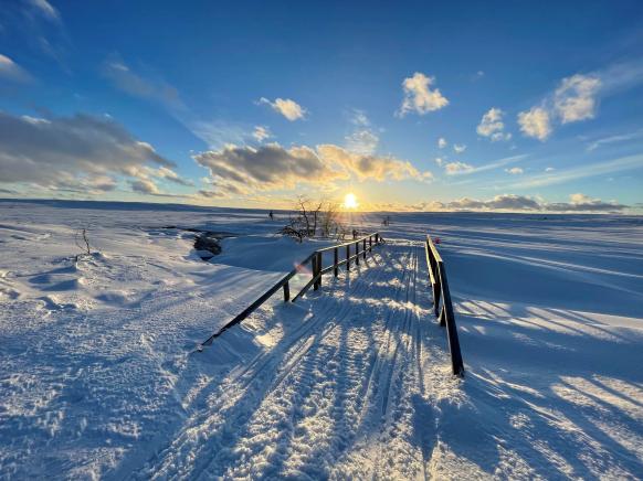 Holzbrücke in Winterlandschaft mit Skispuren