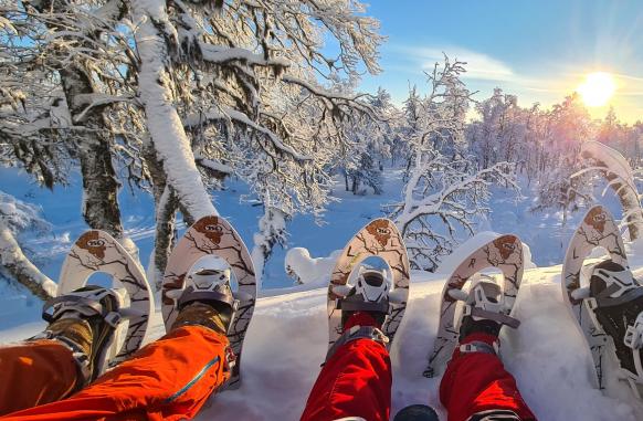 Winterlandschaft im Hintergrund bei Sonnenschein, im Vordergrund Schneeschuhe