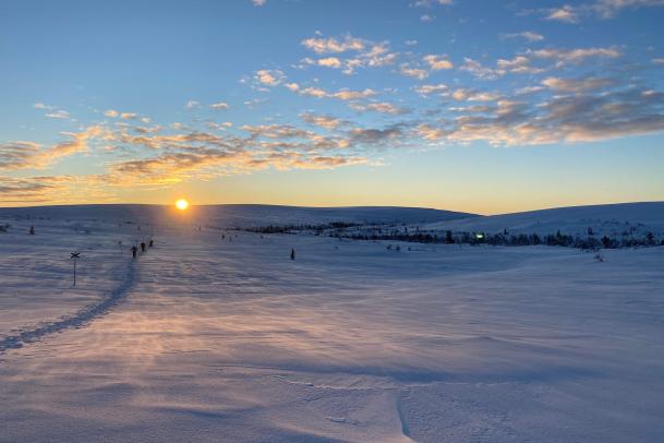 Schneeschuhwandern