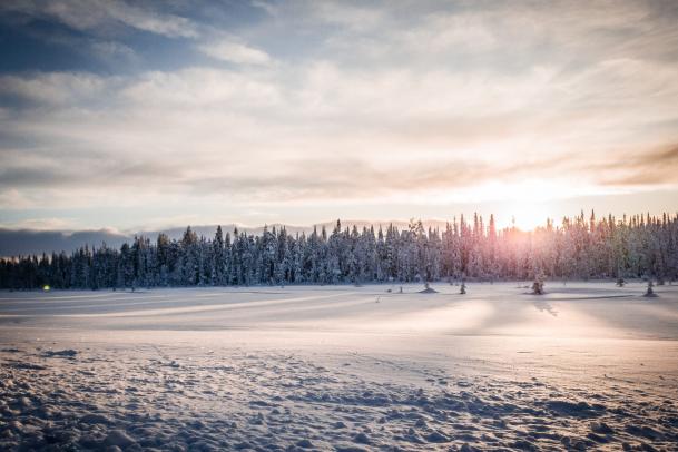 Lappland à la carte