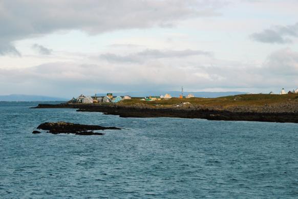 an Tag 4 geht´s mit der Fähre zu den Westfjorden
