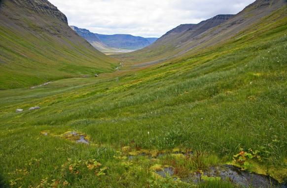 Passhöhe Álftafjarðarheiði