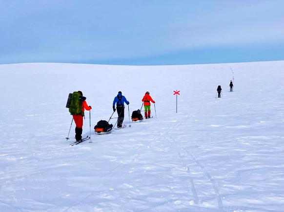 Back Country Läufer mit Pulka unterwegs auf dem Fjäll