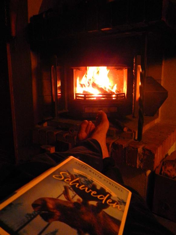 Buch lesen vorm brennenden Ofen
