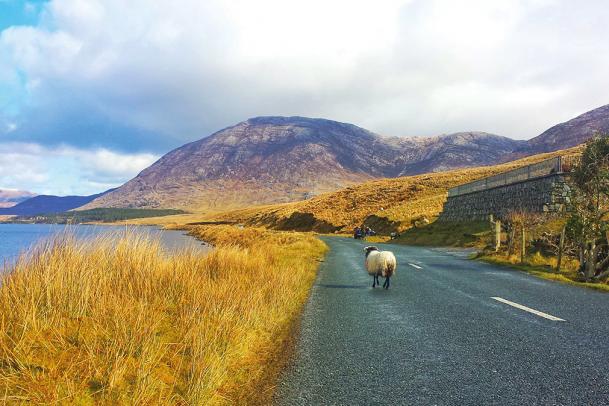 Wanderwoche Kerry & Cork