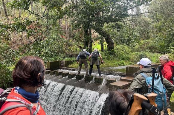 Wanderung entlang künstlicher Wasserläufe – der Levadas