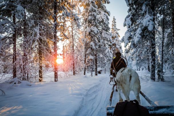Lappland - The true story