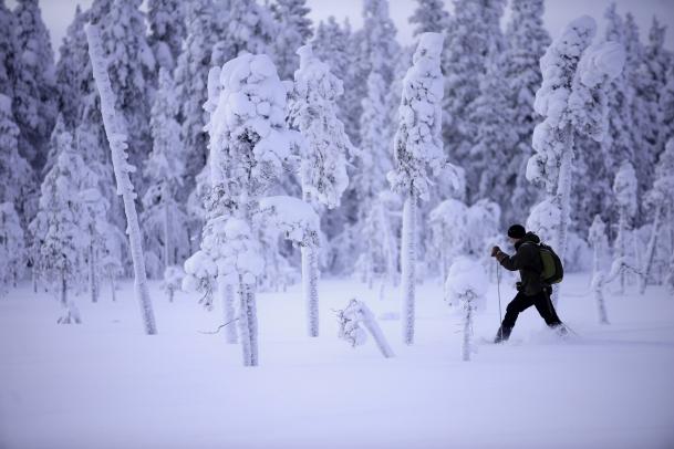 Lappland im Winter - The true story
