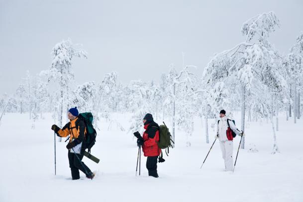 Schneeschuh-Tour im Hossa Nationalpark