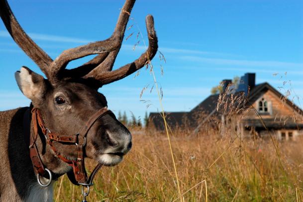 Sommerabenteuer im Wildnisdorf Solberget