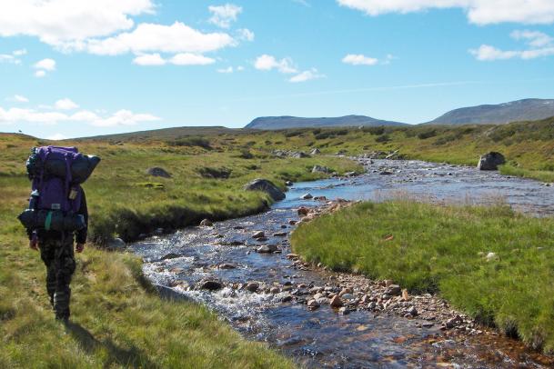 Hike & Bus Kungsleden