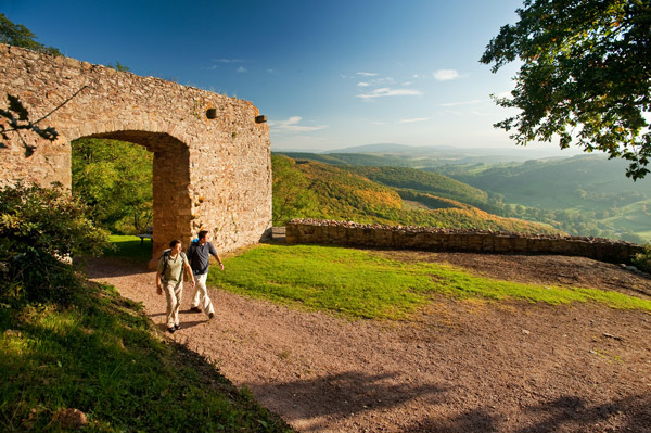 Pfälzer Höhenweg