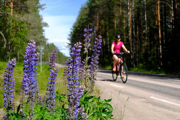 Bike & Bus Dalslandsleden