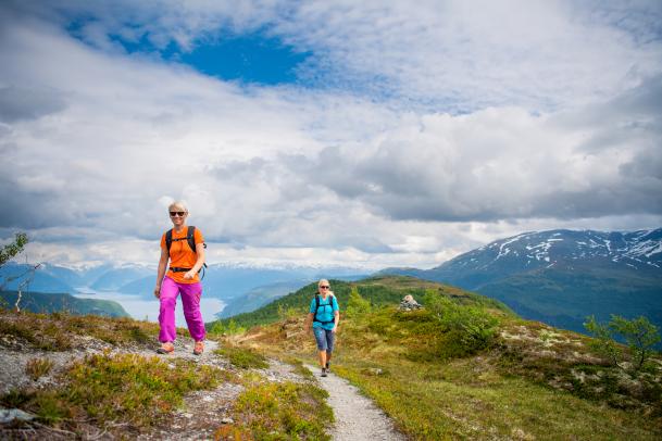 Myrkdalen - im Herzen Fjord-Norwegens