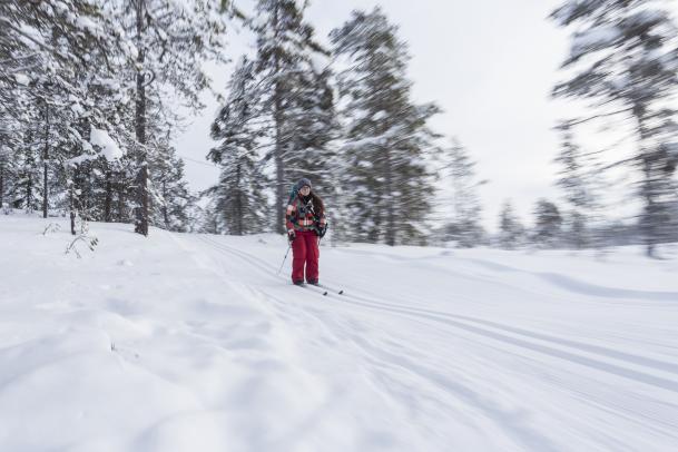 Langlaufkurs Fortgeschrittene