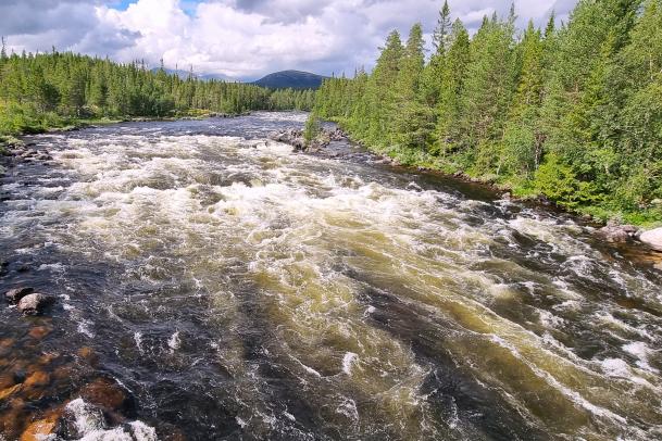 Wildwasser-Kajak: Aufbaukurs Norwegen