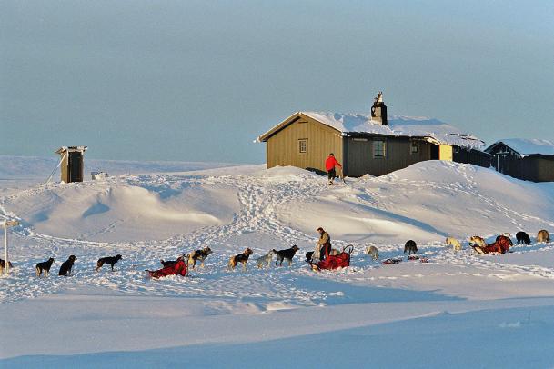 Huskytour + Wintercamp Idre