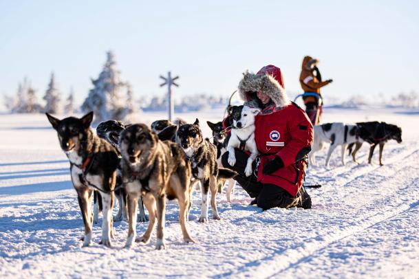 Huskytouren